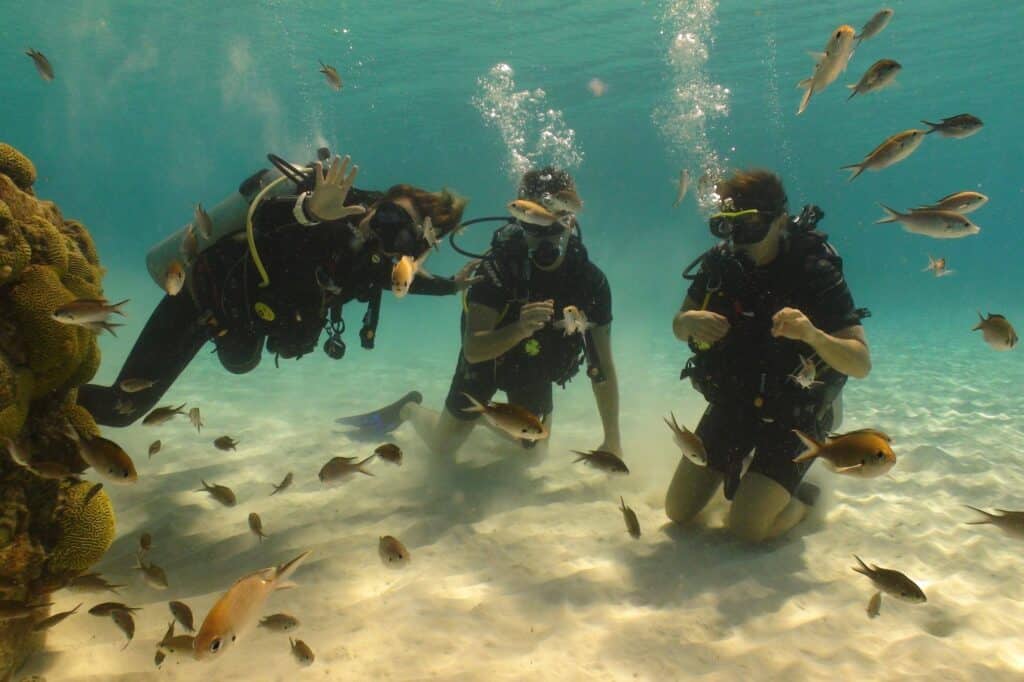 Discover the Underwater World with the PADI Open Water Diver Course at Coral Divers