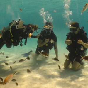 Discover the Underwater World with the PADI Open Water Diver Course at Coral Divers