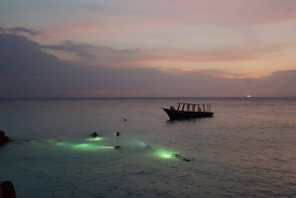 Experience the Thrill of a 1 Tank Guided Night Dive at Coral Divers in Curaçao