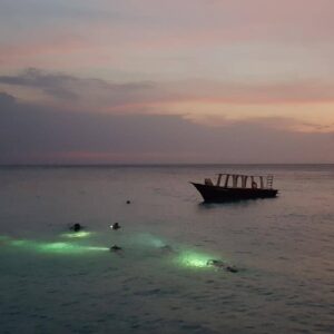 Experience the Thrill of a 1 Tank Guided Night Dive at Coral Divers in Curaçao