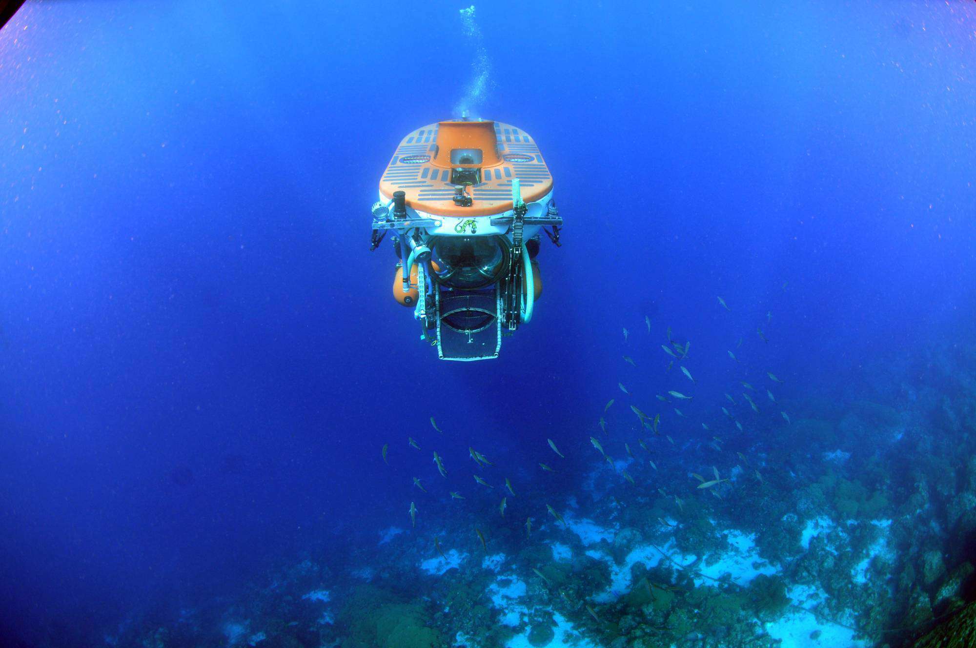 Adventure Dive Substation with Jan Thiel Diving