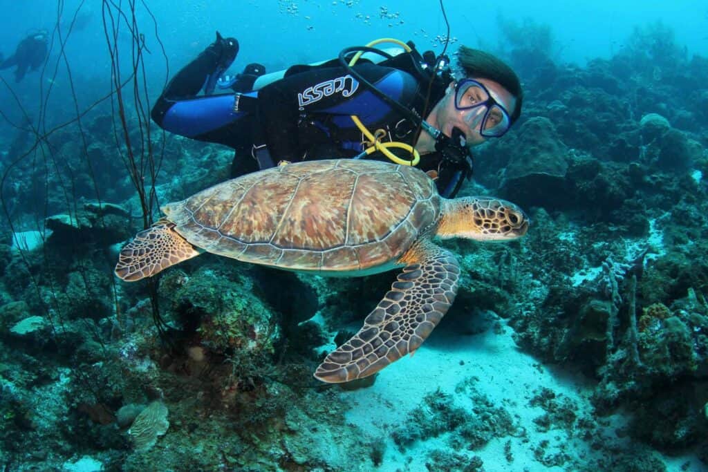 Duik in het paradijs: Ontdek de huisriffen van Blue Bay Dive op Curaçao