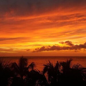 Private Boat Charters in Curaçao: Snorkeling, Diving, and Sunset Magic