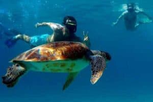 Ontdek de schoonheid van West-Curaçao met Blue C Watersports