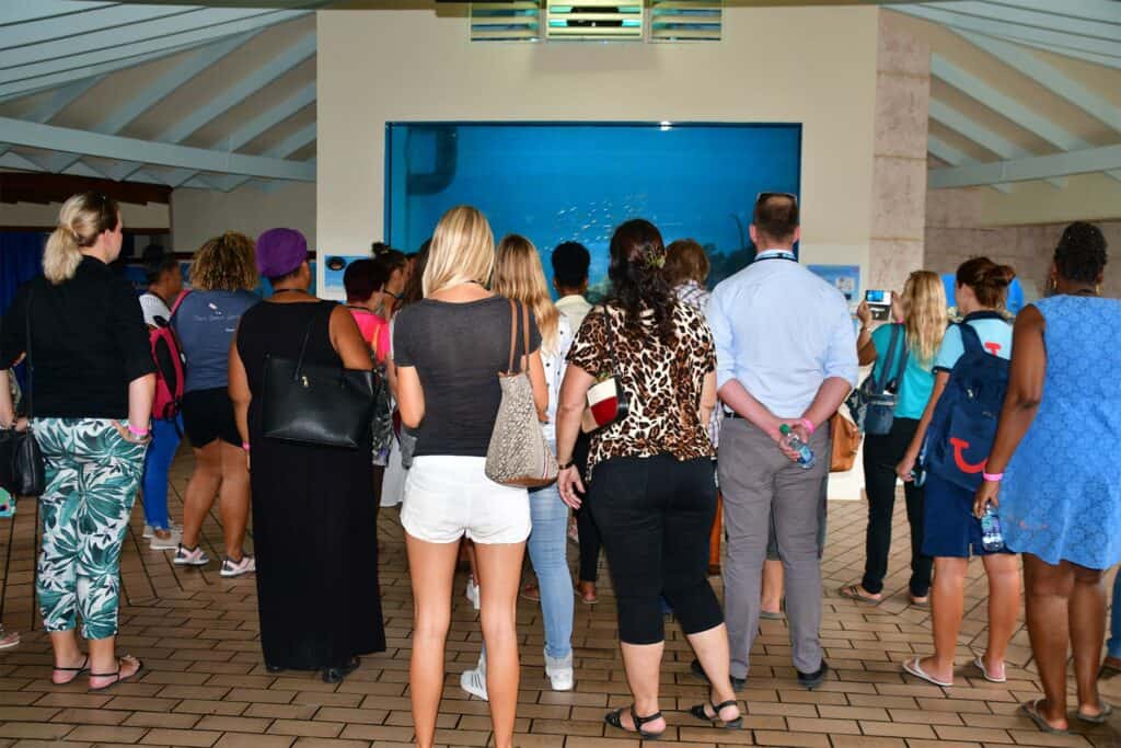 Onvergetelijke groepsevenementen in het Curaçao Sea Aquarium