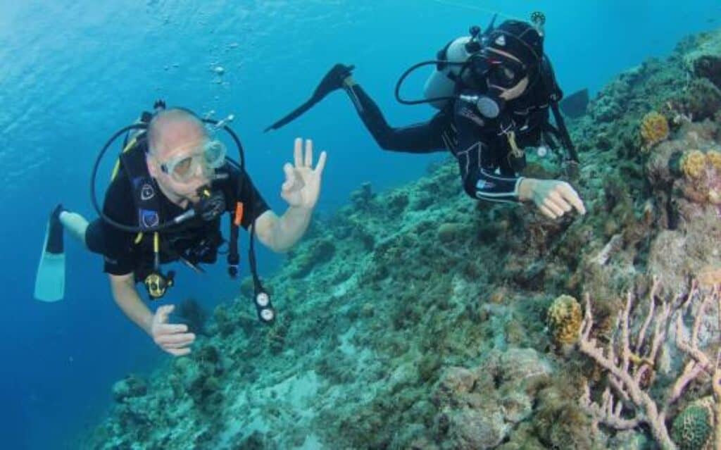 Dive Center Pietermaai: Your Gateway to Underwater Adventure in Curacao