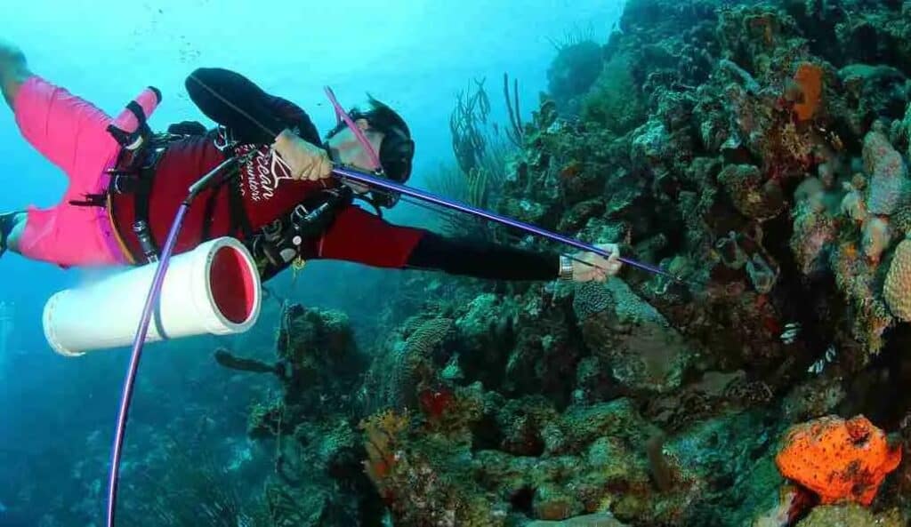 Duikervaring met Lionfish op Curaçao