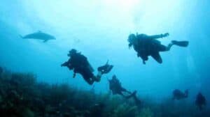 Complete Your Open Water Diver Certification in Paradise: The Referral Course in Curaçao