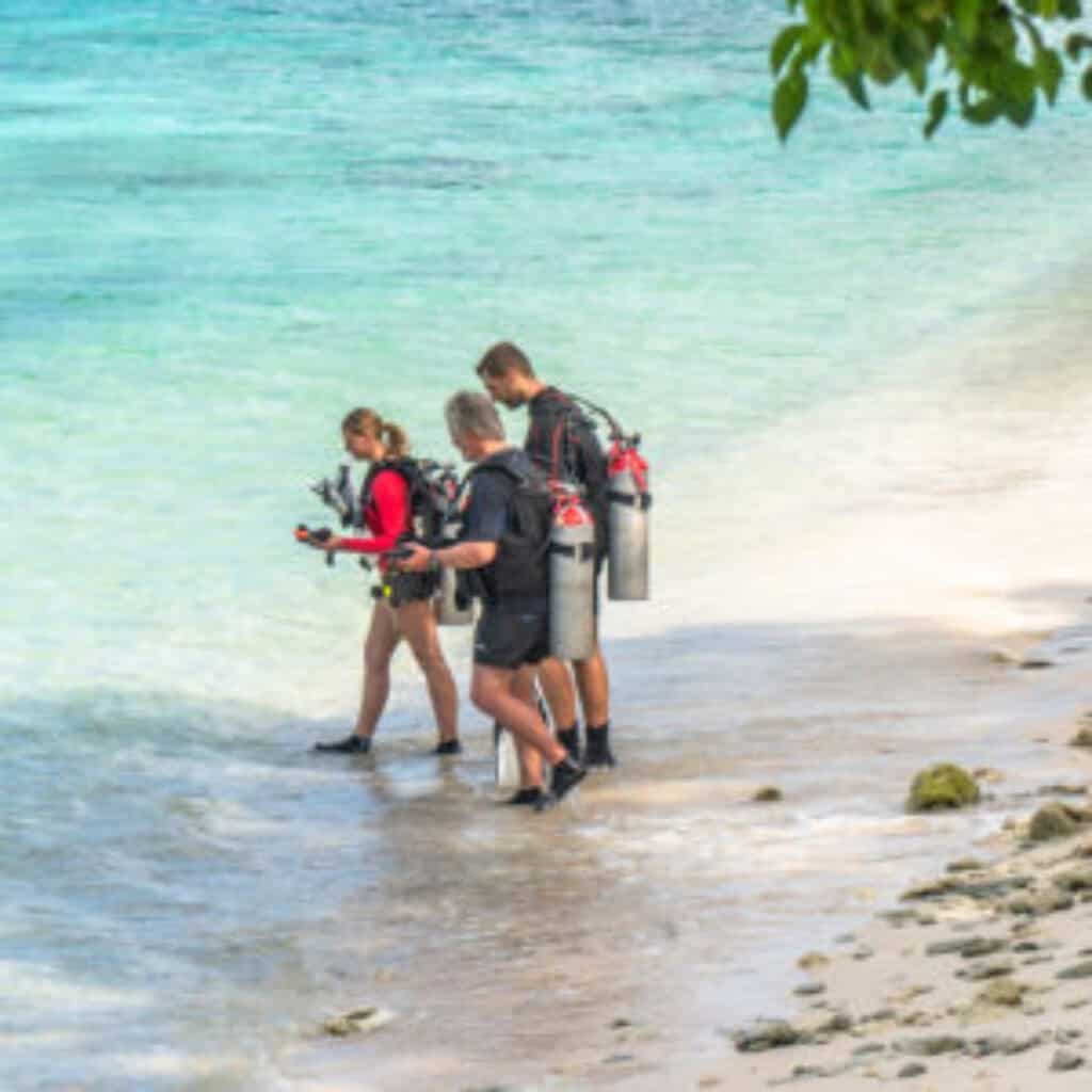 Ontdek de beste duikplekken van Curaçao met Go West Diving
