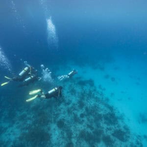 PADI Reddingsduiker Cursus in Curaçao