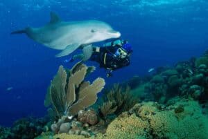 Dive into Adventure: 5-Day Unlimited Shore Dive Package in Curaçao
