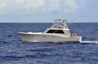 Fish and Dive Curacao