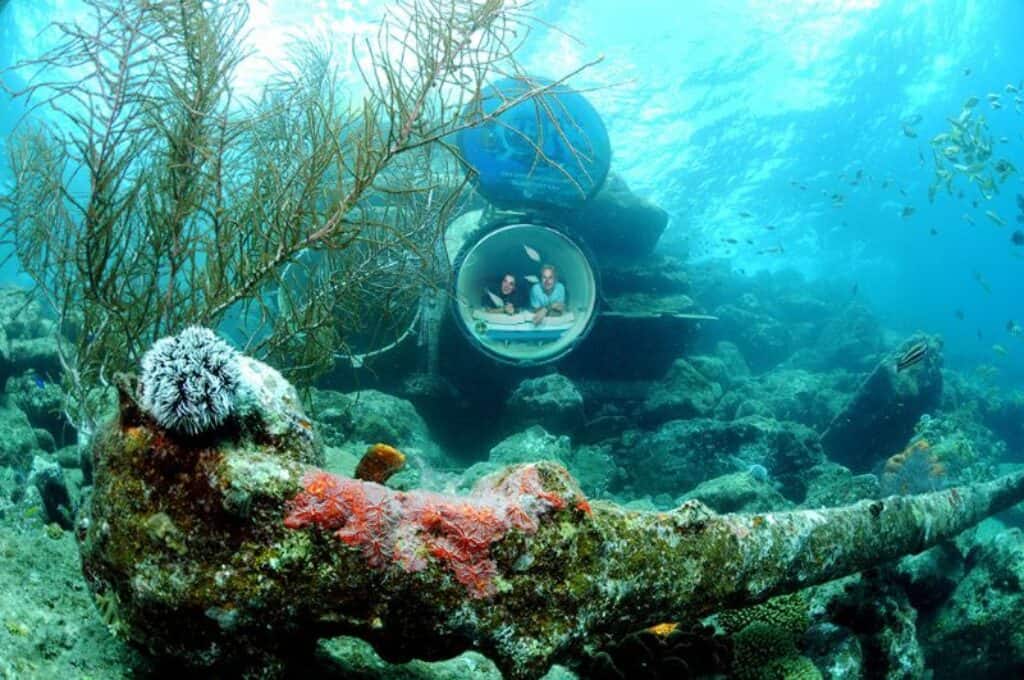 Verken de oceaanlens - Rondleiding in het Curaçao Sea Aquarium Park