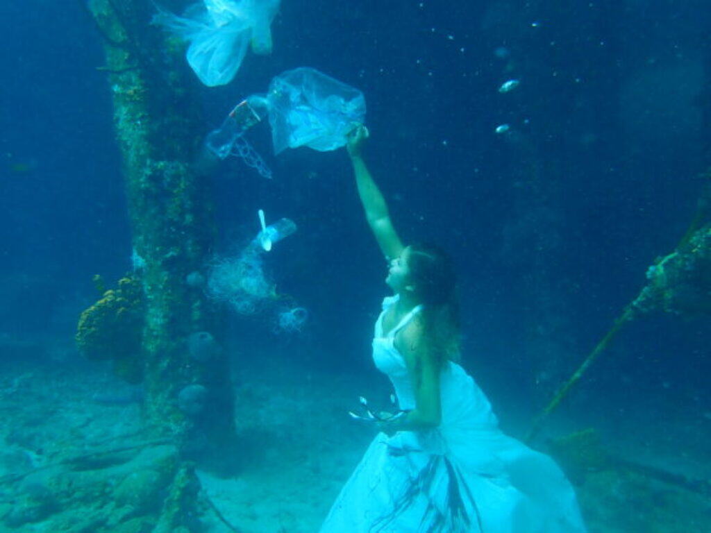 Explore the Underwater Beauty of Curaçao: Guided Dive at House Reef & Directors Bay