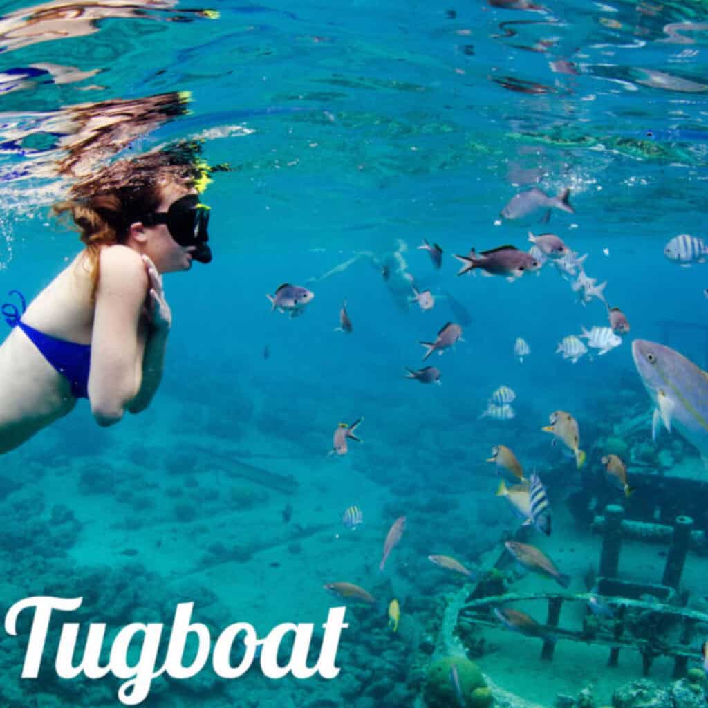 Discover the Magic of Curacao with a Private Trip