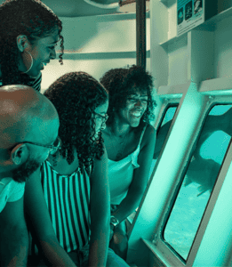 Beleef de Lens van de Oceaan in het Curaçao Sea Aquarium