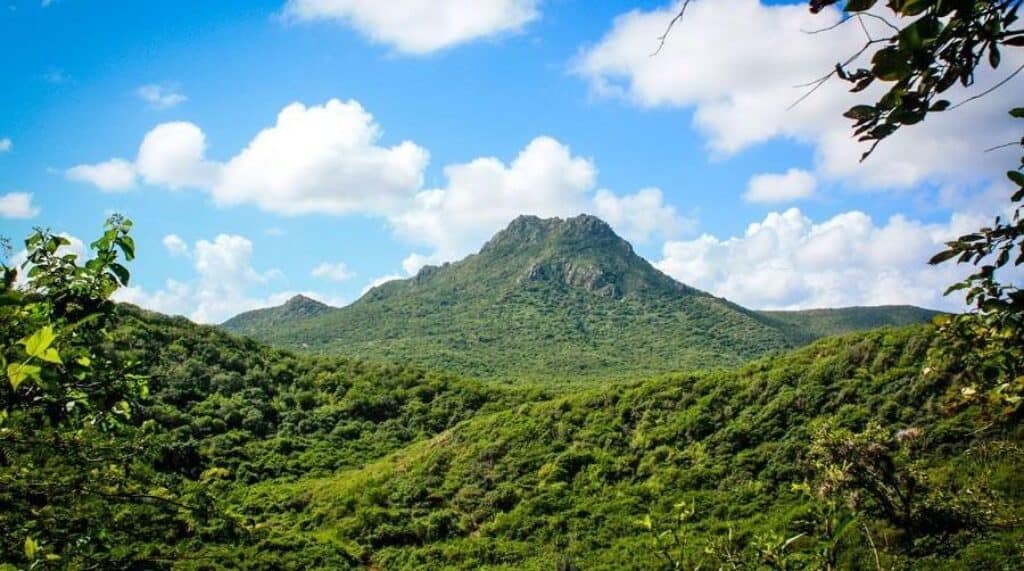 Discover the Wonders of Curaçao: Your Guide to Exploring the Park & Museum