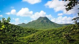 Ontdek de wonderen van Curaçao: Jouw gids voor het verkennen van het park en museum