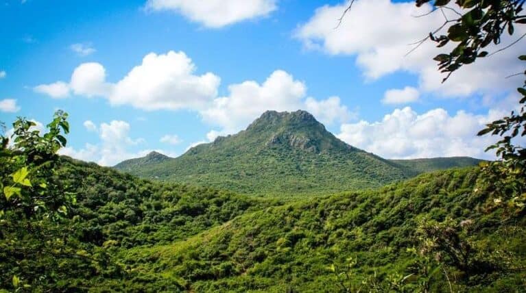 Discover the Wonders of Curaçao: Your Guide to Exploring the Park & Museum