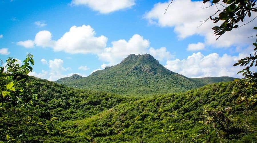 Ontdek de wonderen van Curaçao: Jouw gids voor het verkennen van het park en museum