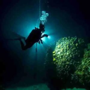 Experience the Thrill of a Night Boat Dive with Ocean Encounters in Curaçao