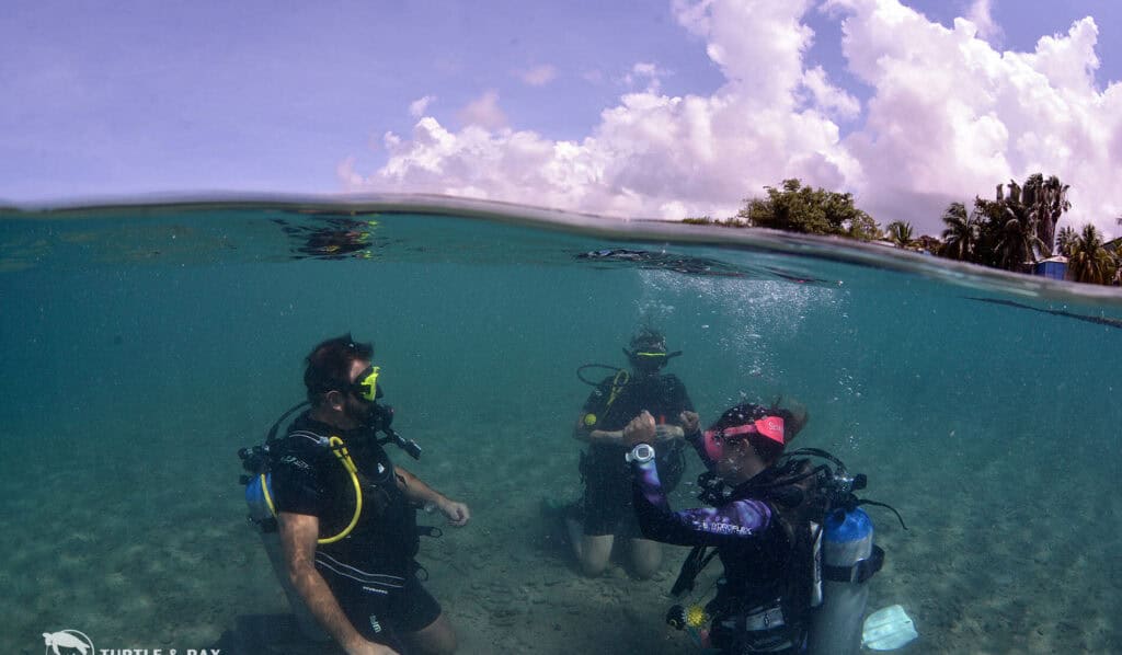 Introductie duiken op Curaçao: Je eerste stap in de onderwaterwereld