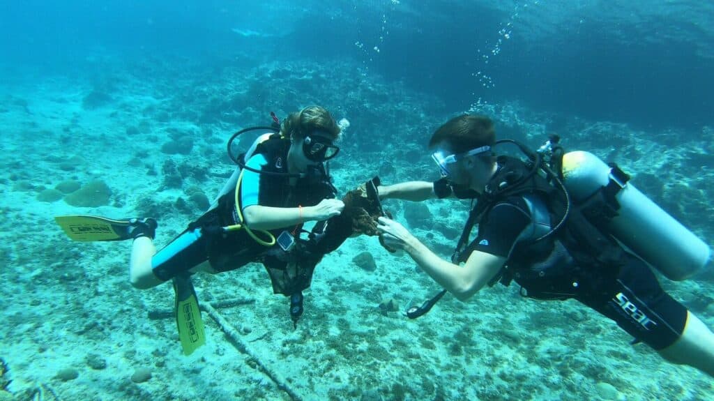 Experience Peak Performance Buoyancy at Bahia Dive Resort