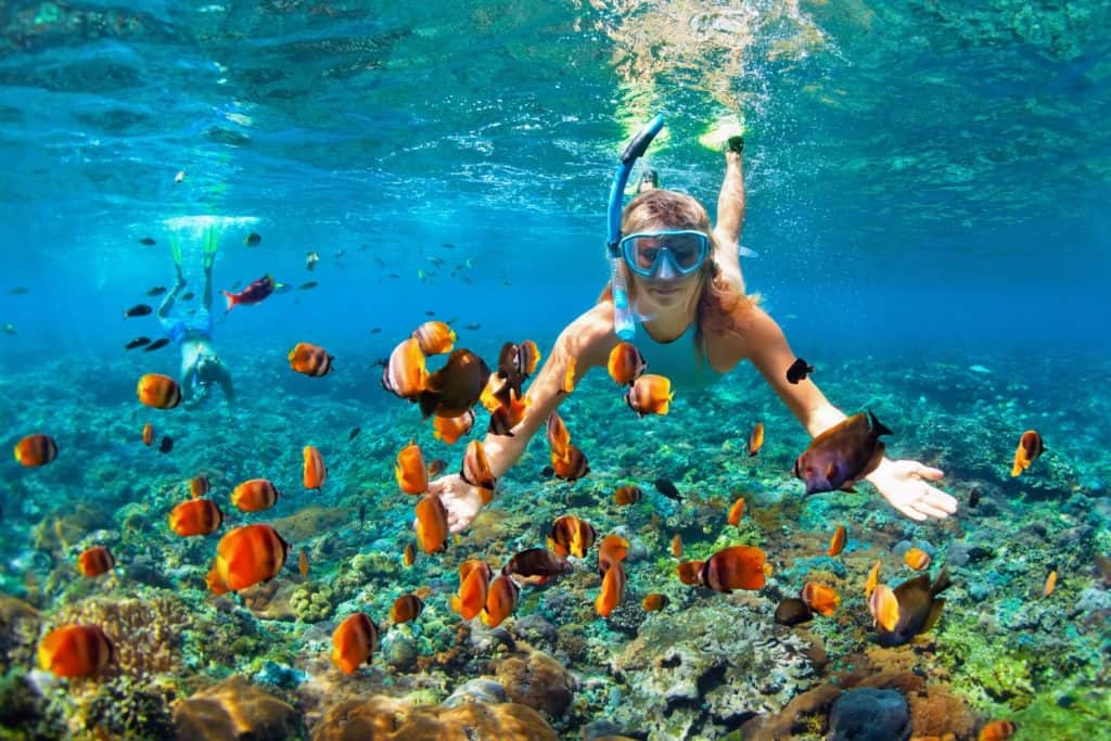 Ontdek de onderwaterwonderen van Curaçao met een onvergetelijk snorkelavontuur