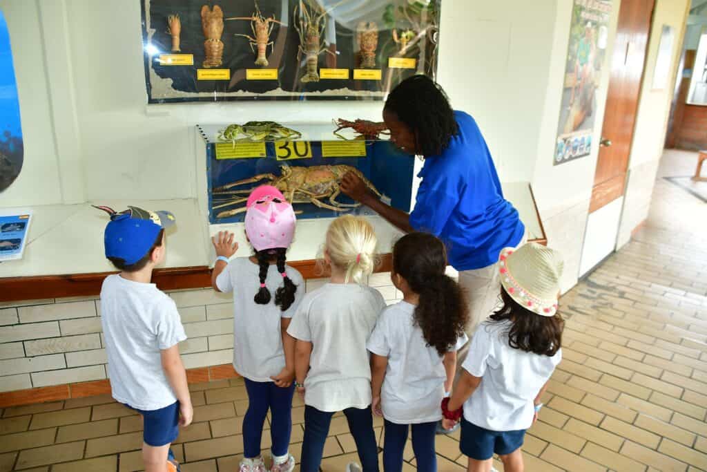 Explore Marine Education at Curaçao Sea Aquarium