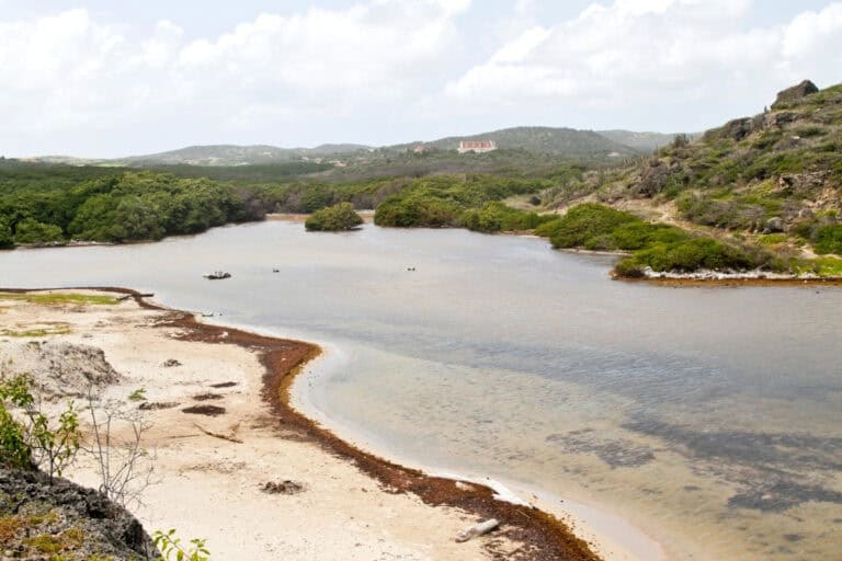 Is Curaçao tropical or desert