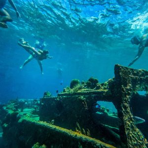 BlueFinn Charters Snorkeling Trip
