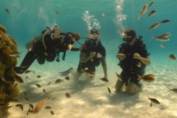 Discover the Underwater World with the PADI Open Water Diver Course at Coral Divers