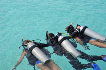 Ontdek de onderwaterwereld met PADI Discover Scuba Dive bij Coral Divers op Curaçao