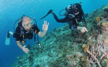 Dive Center Pietermaai: Your Gateway to Underwater Adventure in Curacao