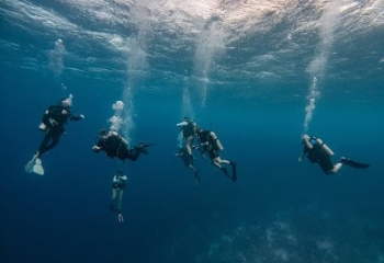 Cursos de buceo recreativo en Curaçao