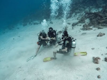 Hazte Freediver en Curaçao
