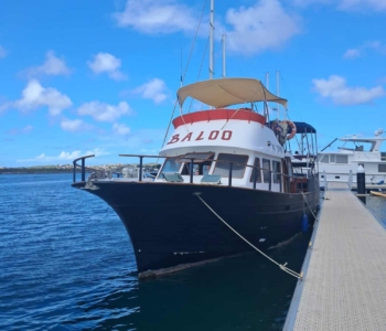 Caribbean Adventure Boat Trips