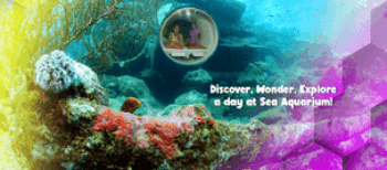 Ontdek de wonderen van de zee in het Curaçao Sea Aquarium