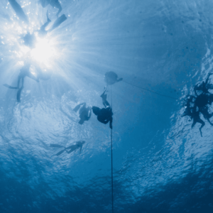 Dive into Serenity: Freedive Center Curacao