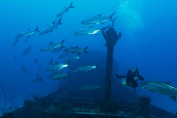 Discover Scuba Dive at Blue Bay Dive & Watersports: Your Gateway to the Underwater World