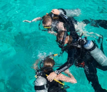 Ontdek duiken op Curaçao: Een onvergetelijk onderwateravontuur
