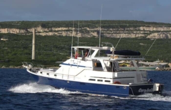 Deep Sea Fishing Charter (Half Day)