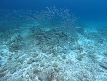 Experience the Thrill of the AquaCat & Underwater Scooter Adventure in Curaçao