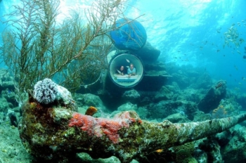 Explore the Ocean Lens – Guided Tour at Curaçao Sea Aquarium Park