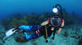 Discover the Beauty Beneath: Digital Underwater Photographer Course in Curaçao