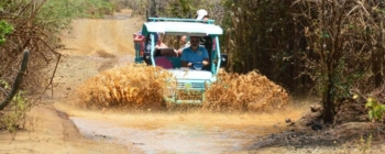 Explore Curacao’s Hidden Gems with the Bon Dia Sunrise Tour