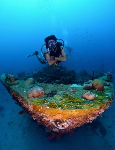 Discover the Thrill of Deep Diving in Curaçao