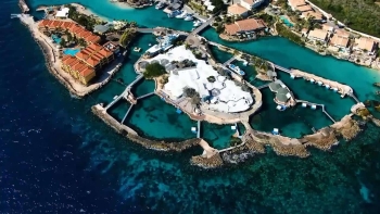 Explore the Curaçao Sea Aquarium Research Facility
