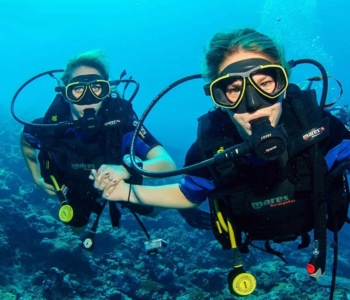Discover the Underwater World of Curaçao: Your First Introduction to Diving