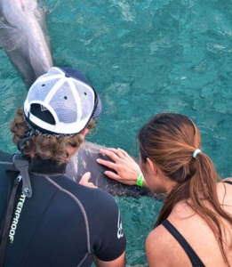 Zwem zij aan zij met dolfijnen op Curaçao!